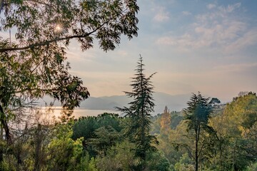 Scenic view of a serene forest landscape with distant mountains and a tranquil lake. Cannes, France