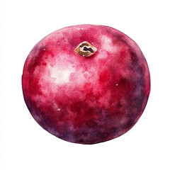 Obraz premium Watercolor illustration of cranberry, vibrant and detailed
