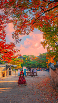   Photo of some tourists dressed in hanbok. Korea and take photos of the changing leaves and Changdeok Palace Seoul, South Korea 