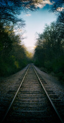 Obraz premium A serene railroad track stretching through a dense forest under a soft twilight sky.