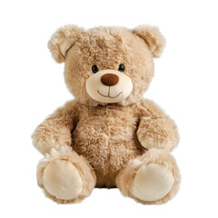 Obraz premium A teddy bear is sitting on a white background