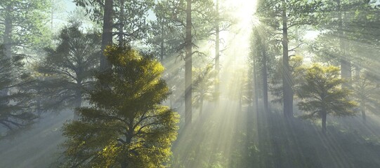 Obraz premium Forest in the morning in a fog in the sun, trees in a haze of light, glowing fog among the trees, 3D rendering