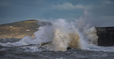 Naklejka premium stormy seas at Holyhead Breakwater