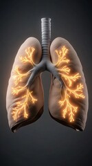 3D Stylized Lungs with Illuminated Features