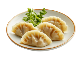 dumplings on a plate, chinese spring festival traditional food, cutout png