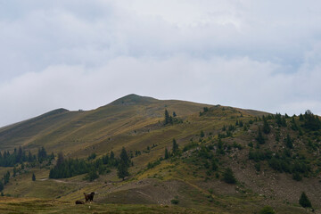 Carpathian Mountain Range