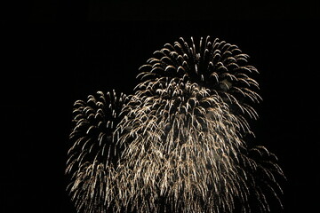 花火、冬の花火