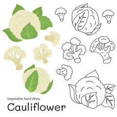 Cauliflower doodle vegetable hand drawn outline and colors for kid, Package, labels Design element. Vector illustration