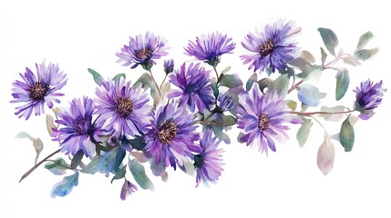 A delicate watercolor painting of the European Michaelas-daisy, showcasing soft purple petals and a golden center, set against a minimalistic background