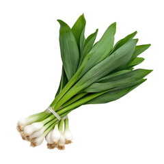 Fototapeta premium Fresh green onion bunch with vibrant leaves. transparent background