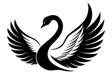 Obraz premium black and white swan