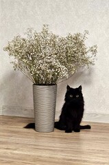 Black cat sits beside a tall vase filled with white flowers in a simple interior setting