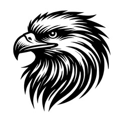 Fototapeta premium Eagle head vector illustration.