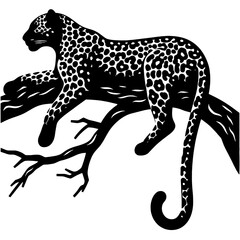 Black and white leopard resting on a tree branch.