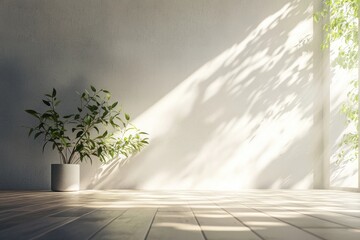 Fototapeta premium Minimalist Interior Decor with Natural Light and Indoor Plant in Modern Space Featuring Light Wall and Wooden Floor