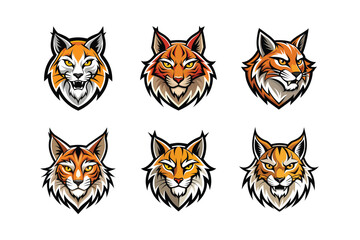Obraz premium Various styles of a bobcat's face logo, labeled any details vector design illustration.