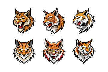 Various styles of a bobcat's face logo, labeled any details vector design illustration.