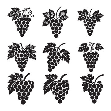 Bunch of grapes with leaf flat vector icon for food apps and websites