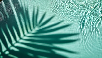 palm leaf shadow from above over  water surface with sunlight reflection topview abstract background for travel beach vacation and wellbeing