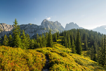 Blick auf Kalbling, Sparafeld, Reichenstein, Nationalpark Gesäuse, Ennstaler Alpen, Steiermark,...