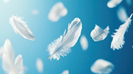 Naklejka premium A serene scene featuring floating white feathers against a blue background.