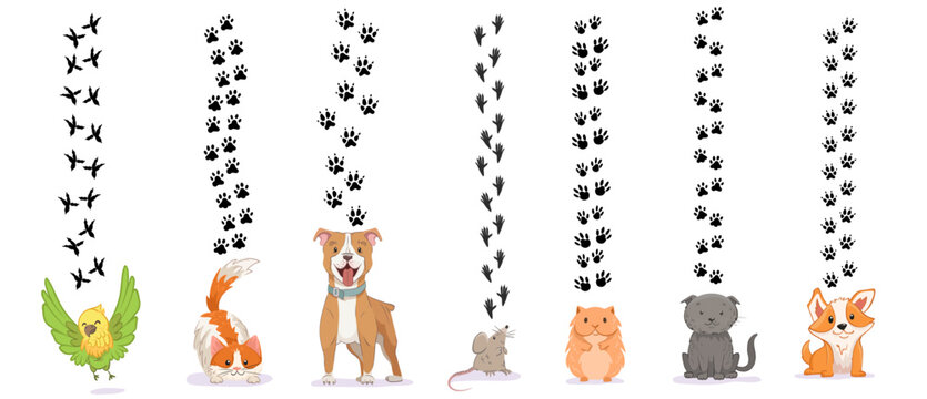 Pets paw print silhouette set. Different animals: cat, dog, parrot, rat or mouse and hamster footprint vector illustration. Domestic Animal tracks isolated on white background