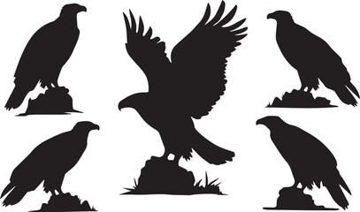 Obraz premium A white background with a black silhouette of an eagle in various poses.