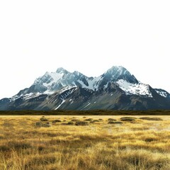 Fototapeta premium Majestic snow capped mountain peaks rise above a vast golden meadow, creating a breathtaking natural panorama