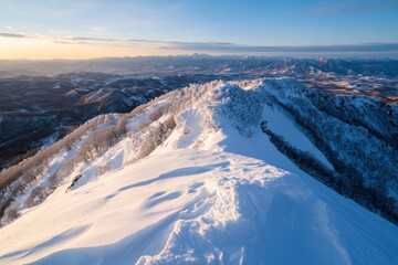 This tranquil image showcases a winter landscape filled with sprightly trees and untouched snow, enhancing the serene beauty of a winter morning that calls for quiet reflection.
