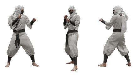 Ninja Kicks isolated on white
