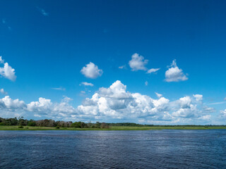 Amazon river landscape near the town of Tefè.
