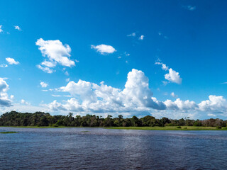 Amazon river landscape near the town of Tefè.