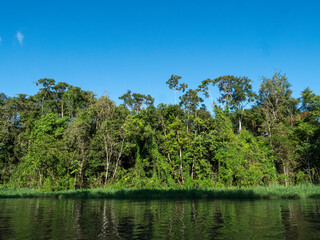 Amazon river landscape near the town of Tefè.