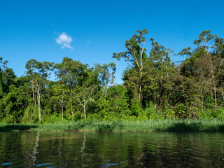 Amazon river landscape near the town of Tefè.