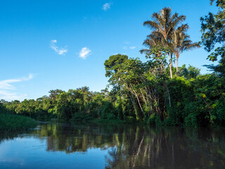 Amazon river landscape near the town of Tefè.