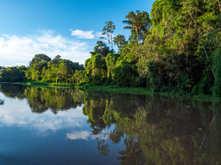 Fototapeta premium Amazon river landscape near the town of Tefè.
