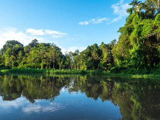 Obraz premium Amazon river landscape near the town of Tefè.