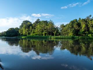 Amazon river landscape near the town of Tef&egrave;.