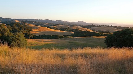Fototapeta premium A serene countryside view with rolling hills basking in the soft, early light of sunrise.