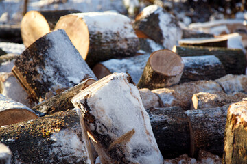 Fototapeta premium A tree trunk sawn into round stumps in winter. Winter harvesting of timber and firewood. Tree trunks cut into pieces lying on the snow. 