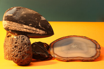 Still life with Agate slice, mineral stones, raw obsidian, and fossils Orthoceras. Photo with...