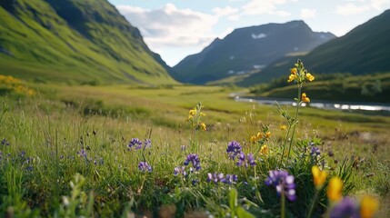 Obraz premium Scenic Mountain Valley with Colorful Wildflowers and River View