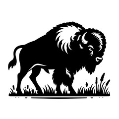 Obraz premium Bison Buffalo Logo silhouette vector, Bison Vector illustration black and white