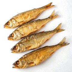 fresh fish on white background