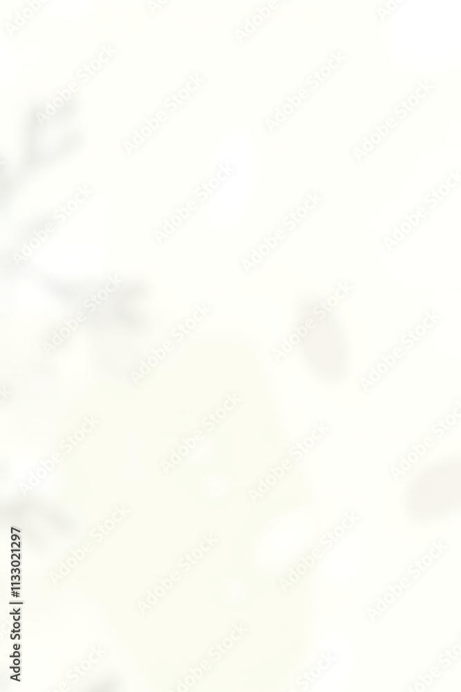 Poster Delicate leaf patterns on a clean white background evoke a sense of serenity and natural beauty in presentation design concepts._00001_