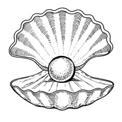 Pearl in shell sketch isolated on white background. Vintage vector illustration.	