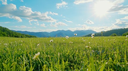 Lush Green Meadow Under Bright Blue Sky with Distant Mountains