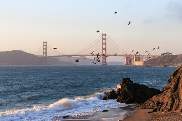 Golden Gate Bridge at Sunset with Birds in Flight