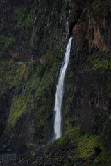 Fototapeta premium View of Madeira
