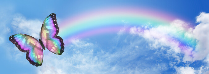 Fantasy Butterfly Rainbow Sky banner - a colourful big winged butterfly with a cartoon vibe at the...